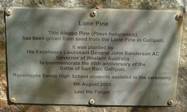 lone pine 2