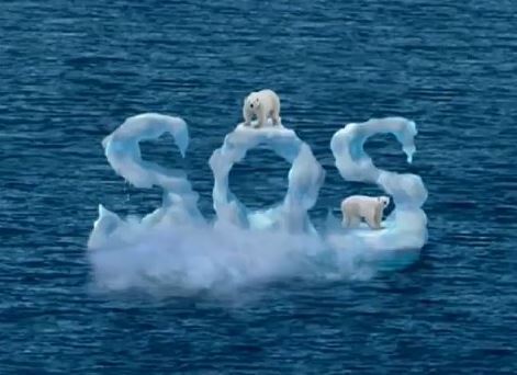 polar bear SOS